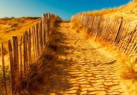 Nature Travel Landscape