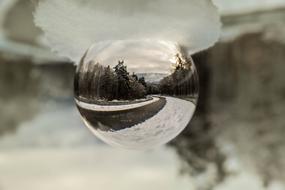 nature still life reflection glass