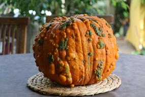 Fresh delicious pumpkin