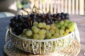 Grape Fruit Nature