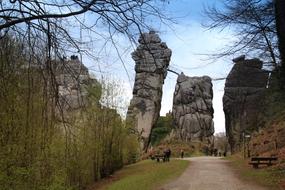 Nature Tree Landscape