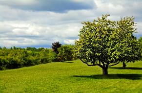 Landscape Scene Country