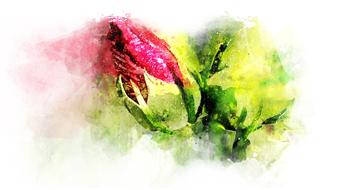 flower colorful watercolor floral