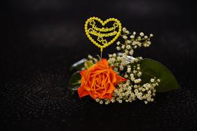 Rose With Gypsophila Orange White