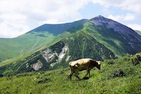 Mountains Northern Georgia Russia