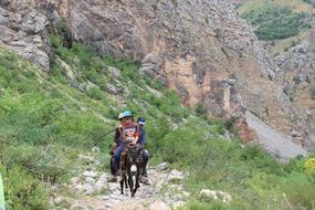 Nature Mountain Landscape