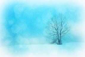 Texture Background Winter