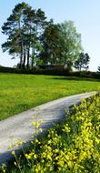 the garden path is beautiful