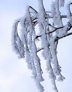 snowy weather cold
