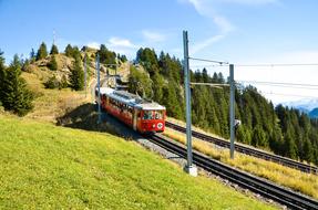 red tram in green grass