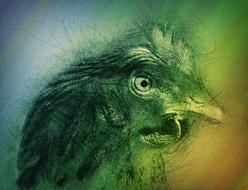 chicken head on a colored background