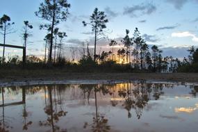 Water Nature Reflection