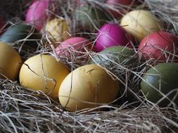 colorful eggs in the hay