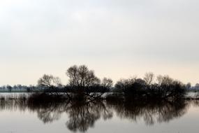 Nature Waters Reflection