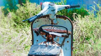 Nature Summer Outdoors