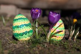 Easter Nature At The Court Of