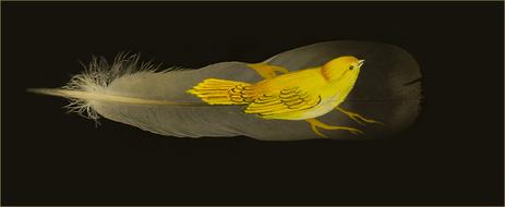 Nature Desktop Background Tropical