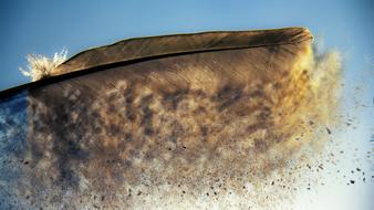 Nature Environment Color