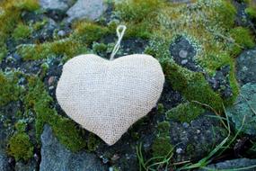 Heart Nature Stone