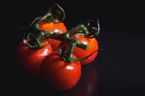 ripe cherry tomatoes on a black background