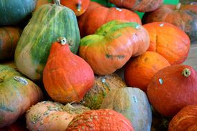 juicy pumpkin harvest