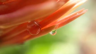 Desktop Color Closeup