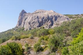 big rock in the woods