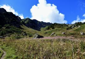 Alpe Nature Mountain
