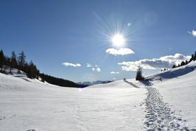 snowy field in sunshine landscape