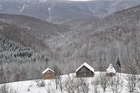 Snow Winter Mountain