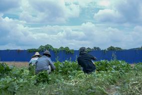 Nature Landscape Sky