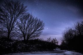 Night Stars Starry Sky