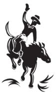 horse man animal