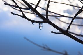 Ice Eistropfen Drip