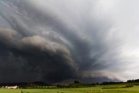 Forward Landscape Nature