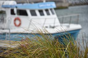 Waters Nature Summer