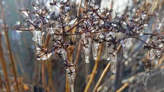 Nature Outdoors Season