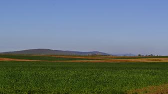 green field panorama