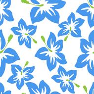 hibiscus wallpaper flowers floral