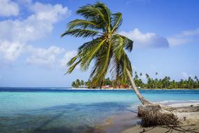 Sand Beach Tropical
