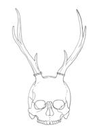 skull horns head man bone