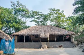Village House Trees