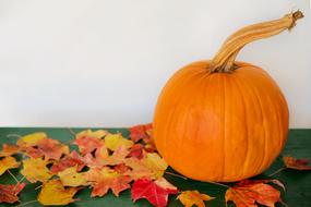 Autumnal Pumpkin Leaves ornaments