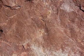 Texture Stone Brown