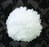 Tissue Paper Pom Wedding