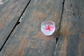 Nature Outdoors Summer