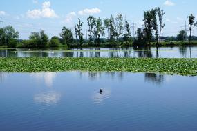 Danube Ehingen Ulm