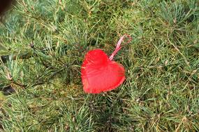 Heart Red Valentine'S Day