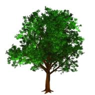 green tree on a pole