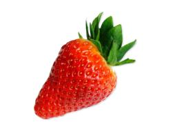 one strawberry on a white background